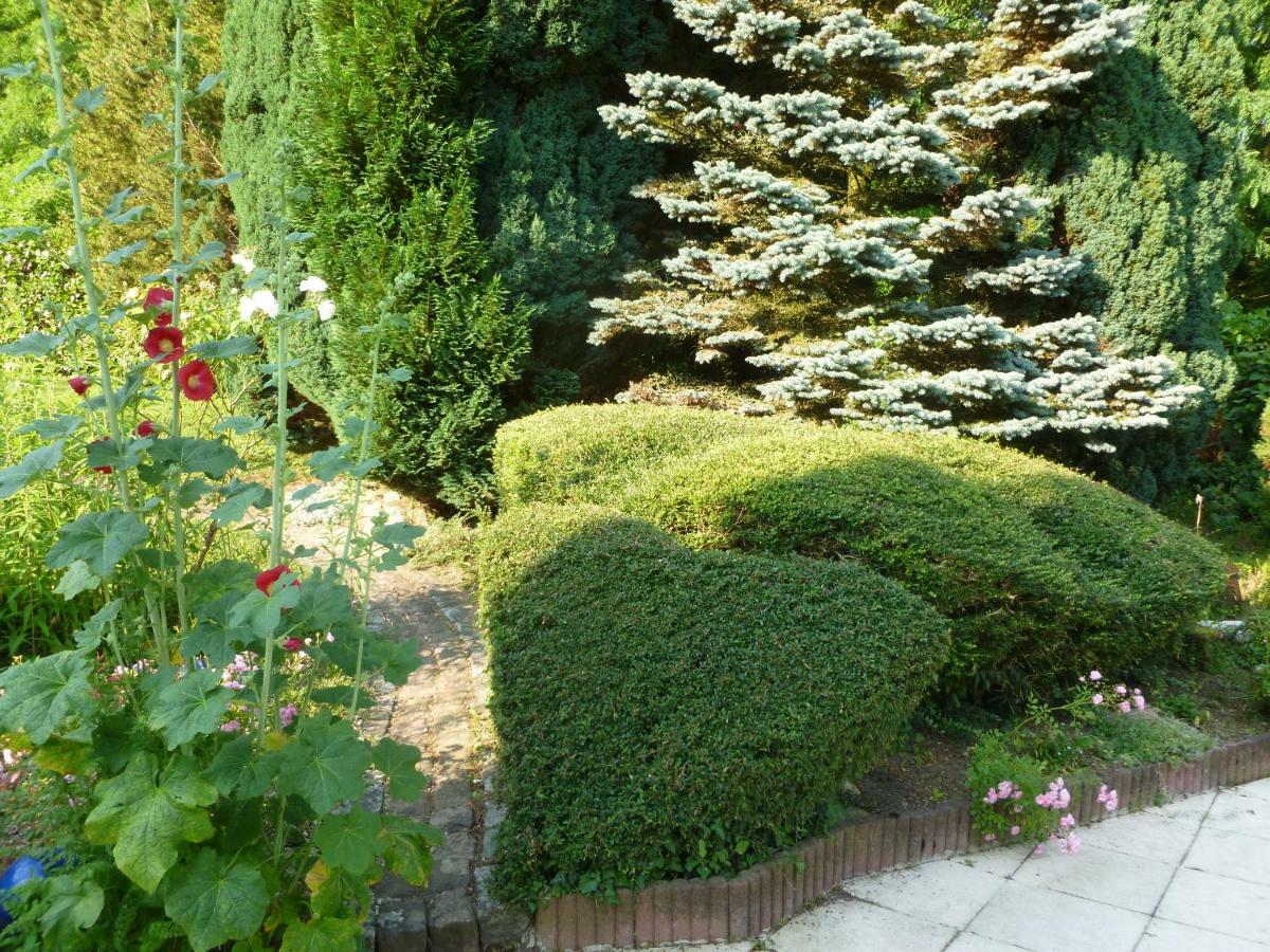 La Rose Tremiere Otel Wintzenheim-Kochersberg Dış mekan fotoğraf